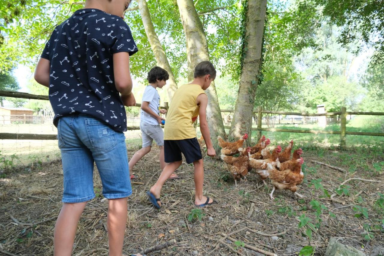 Camping Haliotis 뽕또흑송 외부 사진