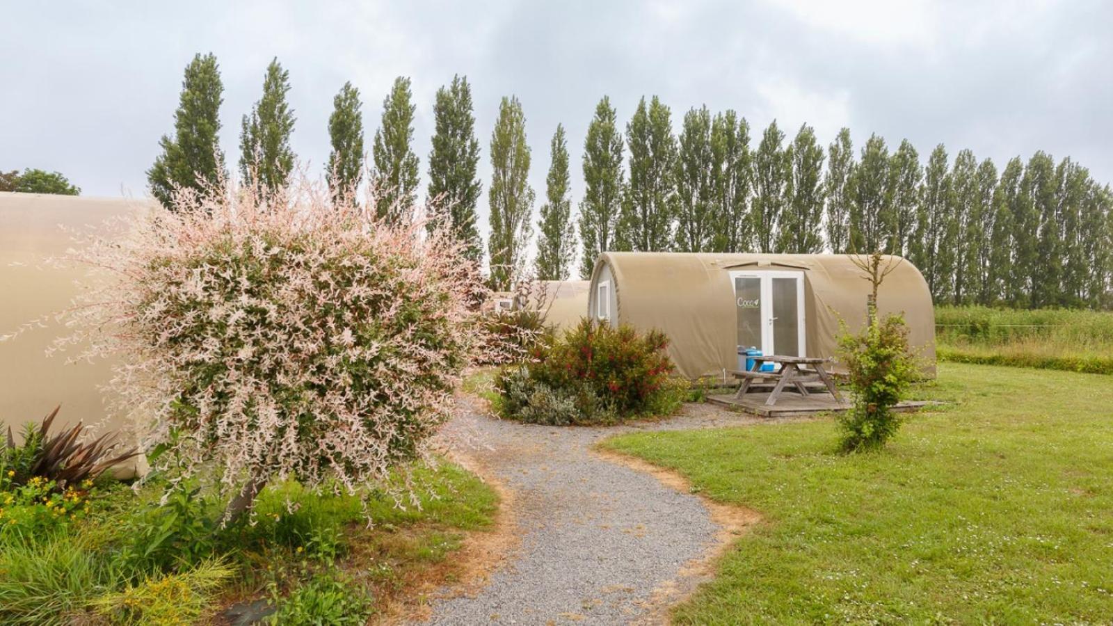 Camping Haliotis 뽕또흑송 외부 사진